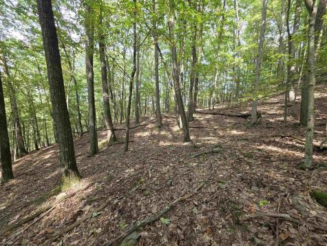 0 Samaria Road Fairmont WV 26554