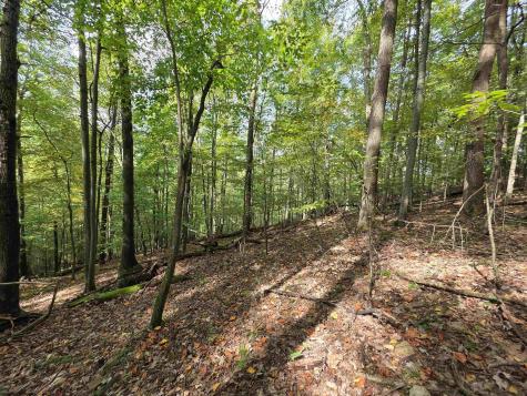 0 Samaria Road Fairmont WV 26554