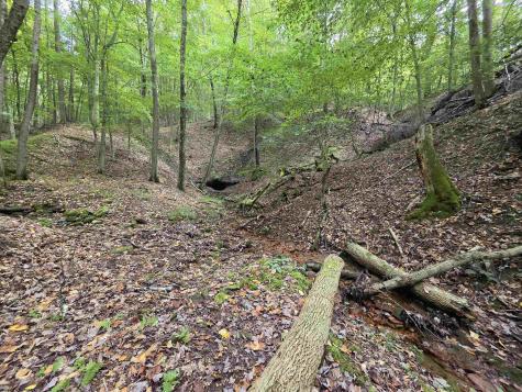 0 Samaria Road Fairmont WV 26554