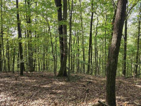 0 Samaria Road Fairmont WV 26554
