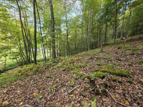 0 Samaria Road Fairmont WV 26554