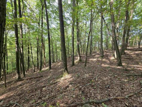 0 Samaria Road Fairmont WV 26554