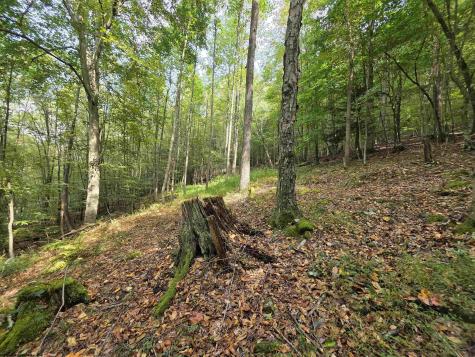0 Samaria Road Fairmont WV 26554