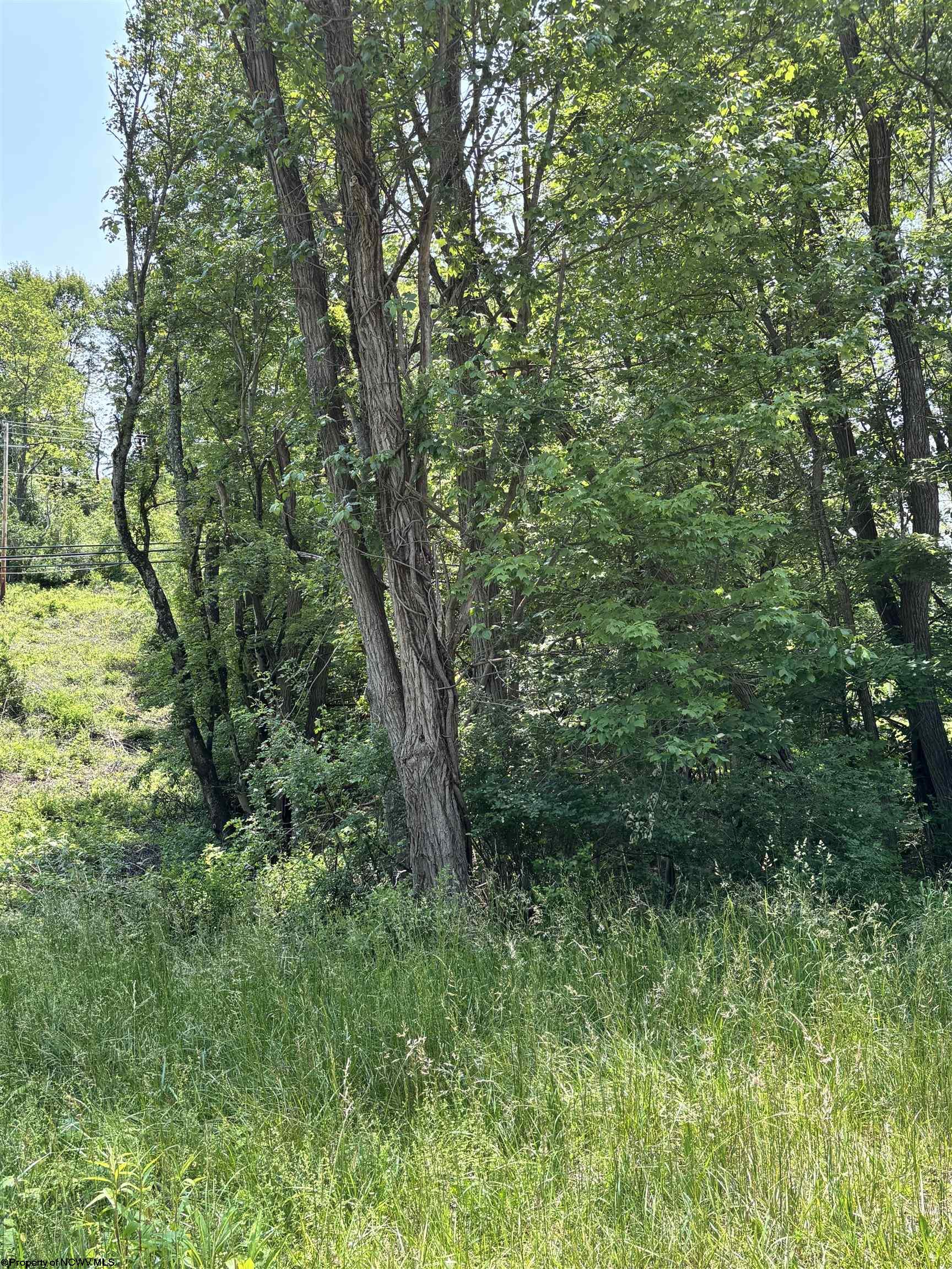 4 Barbour County Highway Philippi WV 26416