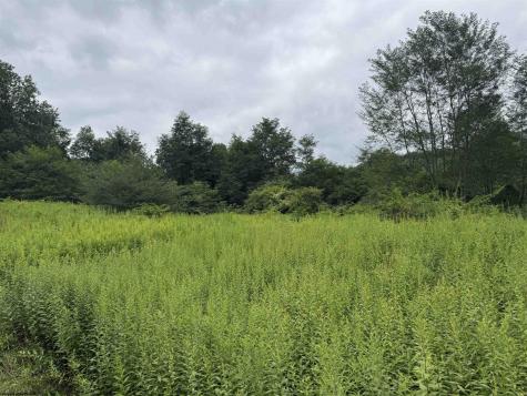132 Sunset Mountain Village Drive Slaty Fork WV 26291