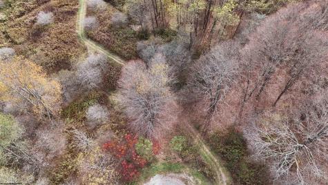 132 Sunset Mountain Village Drive Slaty Fork WV 26291