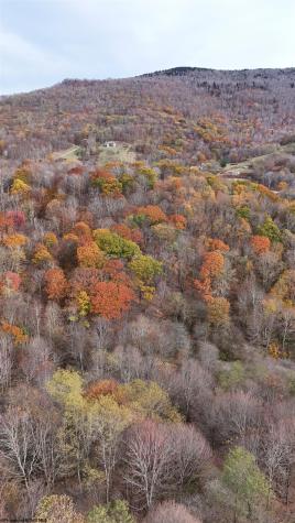 132 Sunset Mountain Village Drive Slaty Fork WV 26291