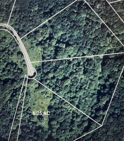 132 Sunset Mountain Village Drive Slaty Fork WV 26291