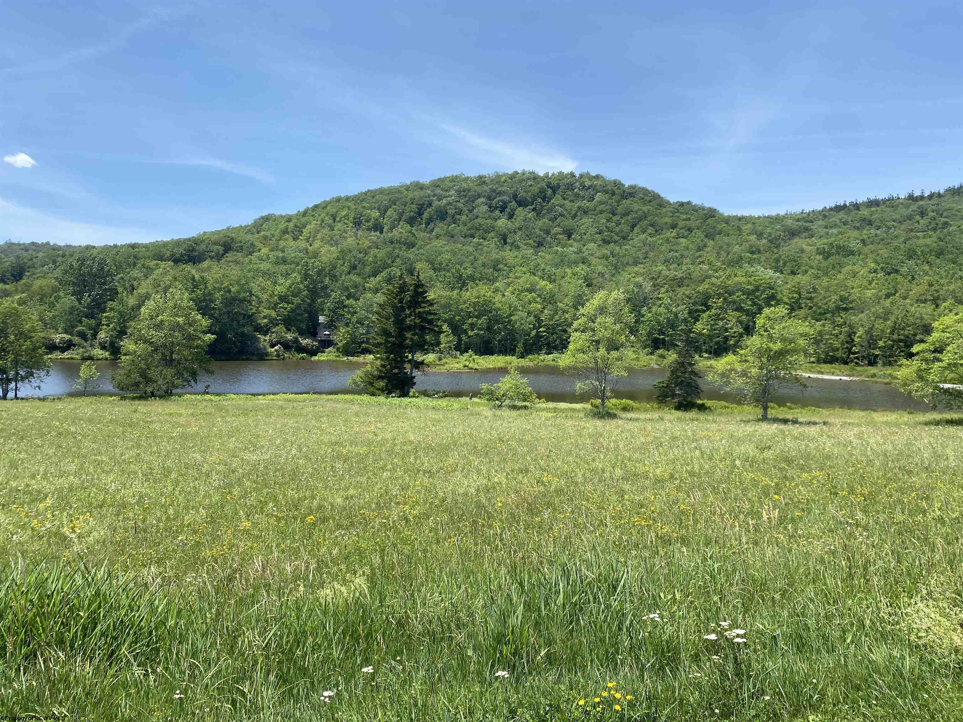 34 Mallow Lake Drive Davis WV 26260