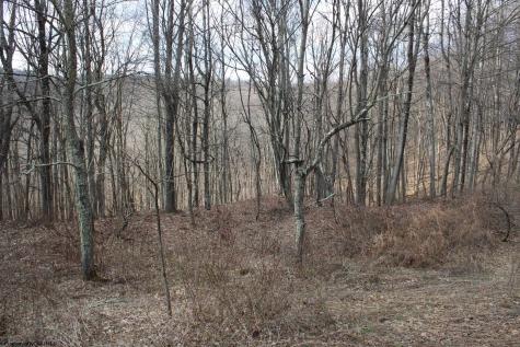 9 Cascade Ridge Masontown WV 26542