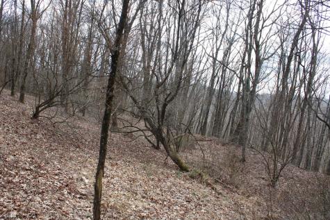 9 Cascade Ridge Masontown WV 26542