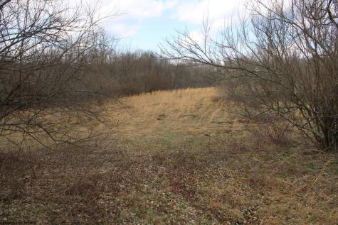 9 Cascade Ridge Masontown WV 26542