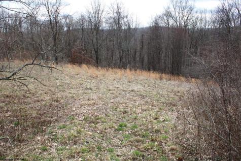 9 Cascade Ridge Masontown WV 26542