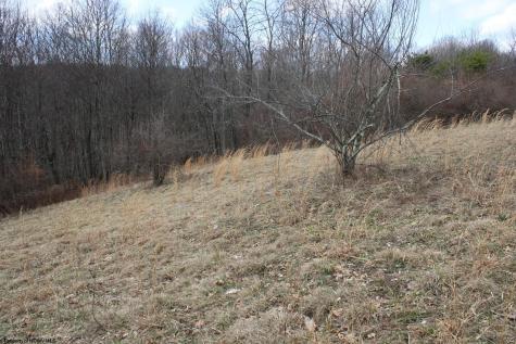 9 Cascade Ridge Masontown WV 26542