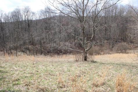 9 Cascade Ridge Masontown WV 26542