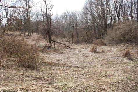 9 Cascade Ridge Masontown WV 26542