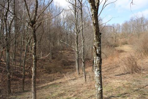 9 Cascade Ridge Masontown WV 26542