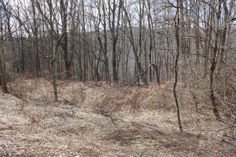 9 Cascade Ridge Masontown WV 26542