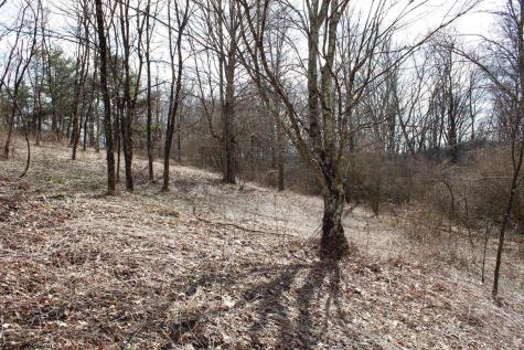 9 Cascade Ridge Masontown WV 26542