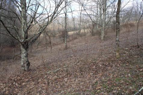 9 Cascade Ridge Masontown WV 26542