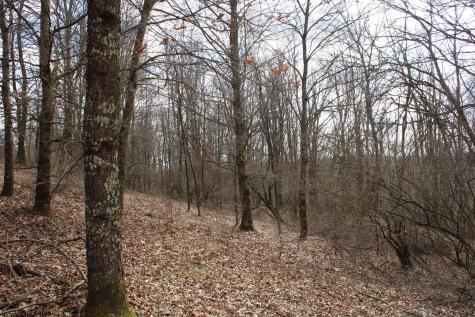 Lot 9 Cascade Ridge Masontown WV 26542