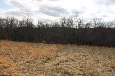 9 Cascade Ridge Masontown WV 26542