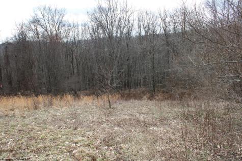 9 Cascade Ridge Masontown WV 26542
