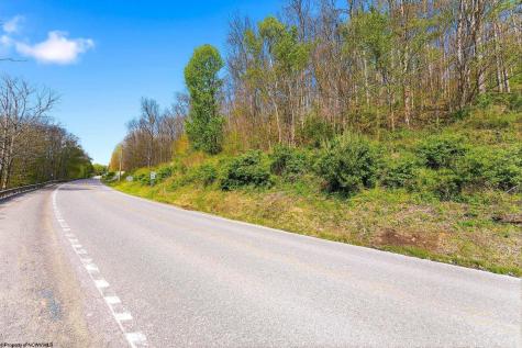 0 N Preston Highway Bruceton Mills WV 26525