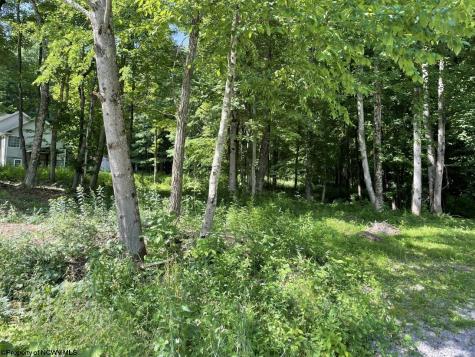 1 Kimberly Lane Kingwood WV 26537