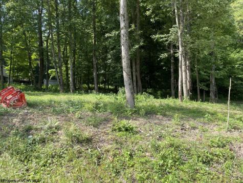 1 Kimberly Lane Kingwood WV 26537