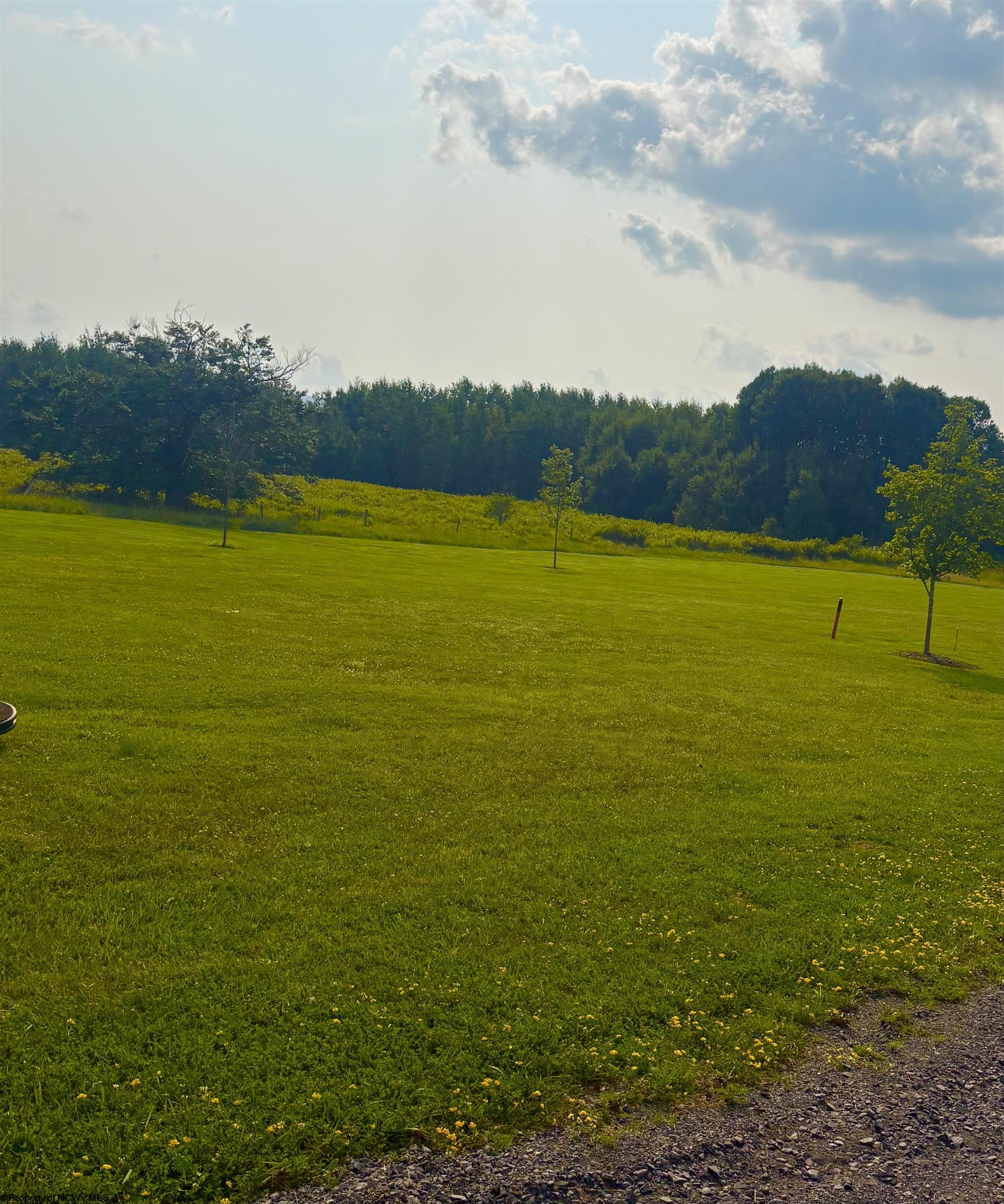 3 Katy Lane Davis WV 26260