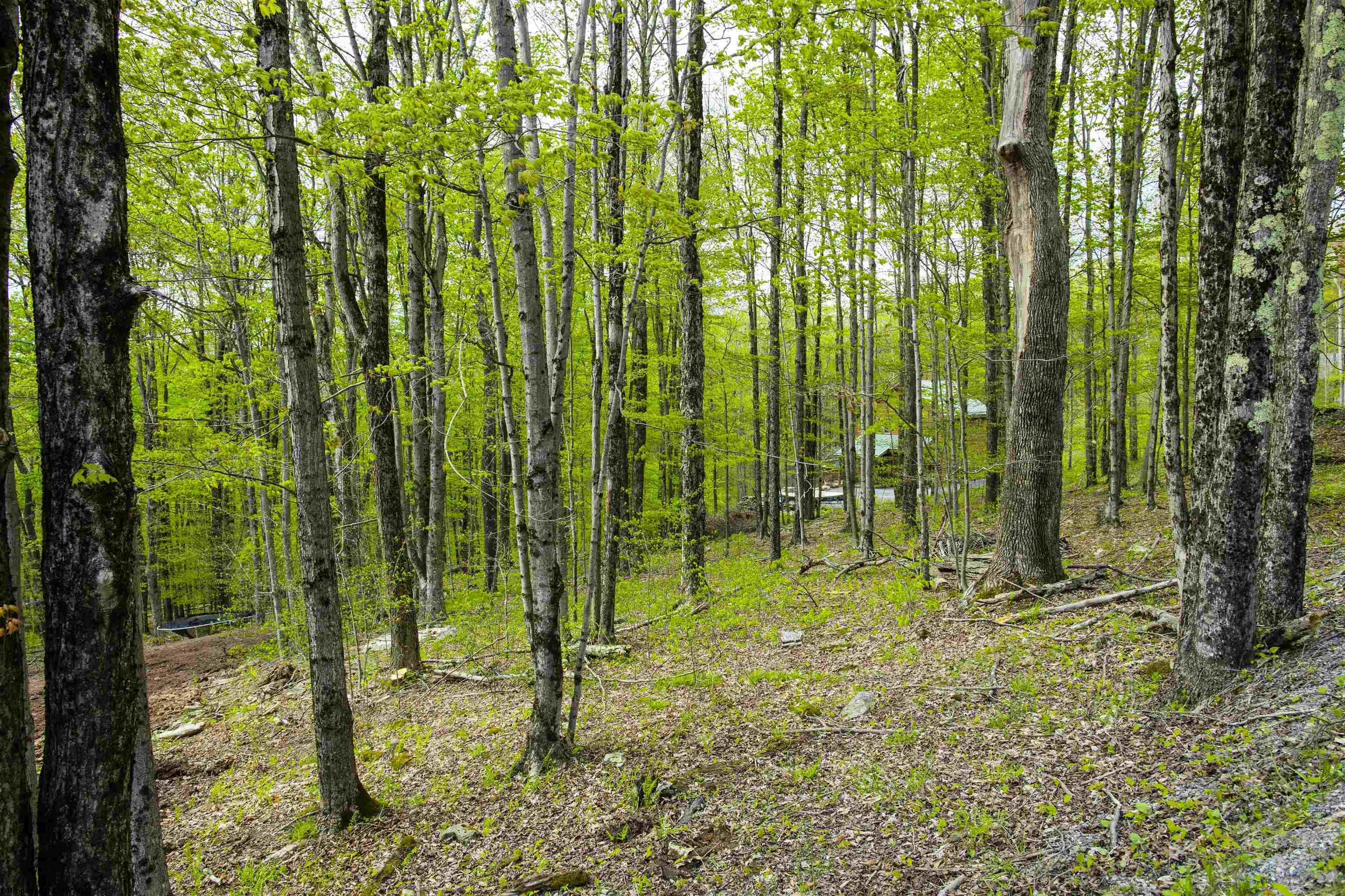 99 Fern Lane Davis WV 26260