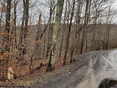 99 Fern Lane Davis WV 26260