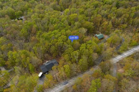 99 Fern Lane Davis WV 26260
