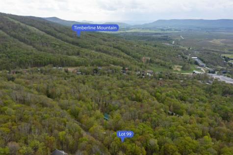 99 Fern Lane Davis WV 26260