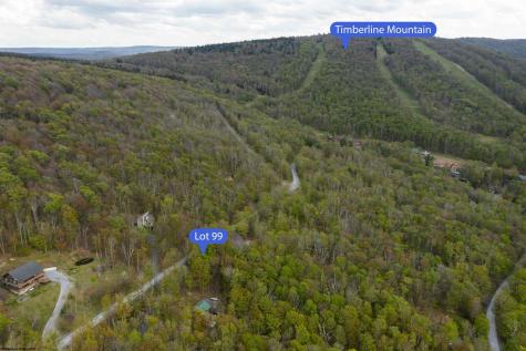 99 Fern Lane Davis WV 26260