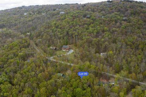 99 Fern Lane Davis WV 26260