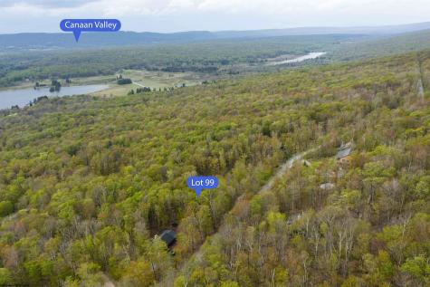 99 Fern Lane Davis WV 26260