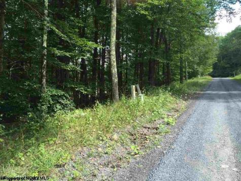 99 Fern Lane Davis WV 26260