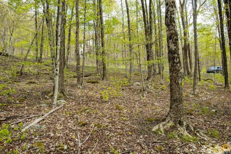 99 Fern Lane Davis WV 26260