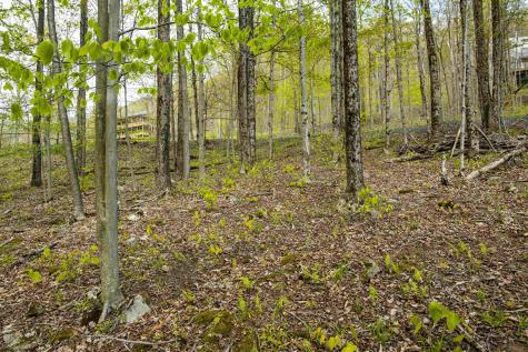 99 Fern Lane Davis WV 26260