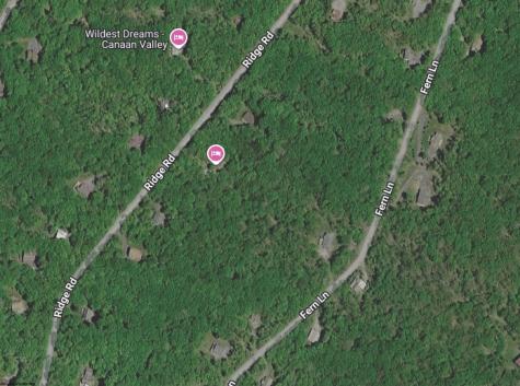 99 Fern Lane Davis WV 26260