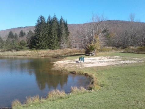 99 Fern Lane Davis WV 26260