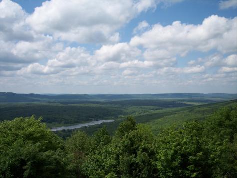 99 Fern Lane Davis WV 26260