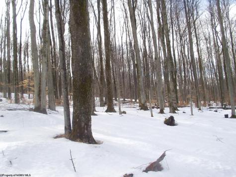 99 Fern Lane Davis WV 26260