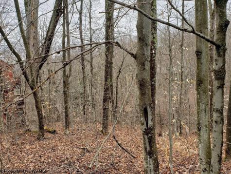 99 Fern Lane Davis WV 26260