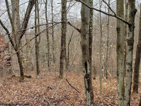 99 Fern Lane Davis WV 26260