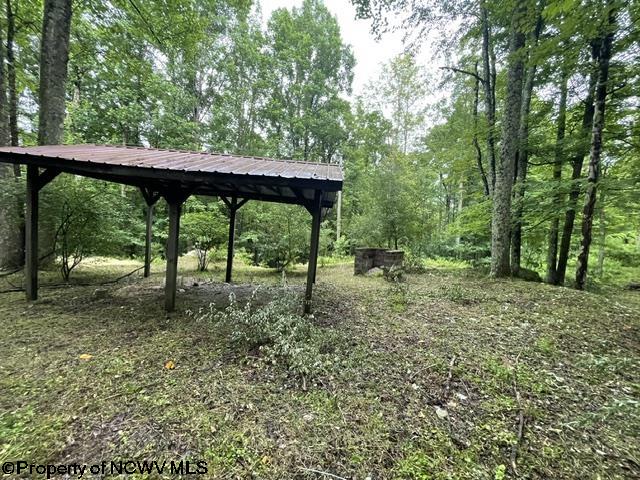 1099 Five Fork Hill Road Newburg WV 26410-9713