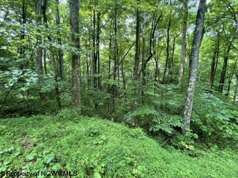 1099 Five Fork Hill Road Newburg WV 26410-9713