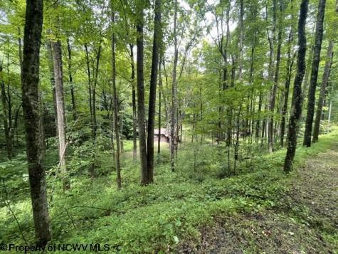 1099 Five Fork Hill Road Newburg WV 26410-9713